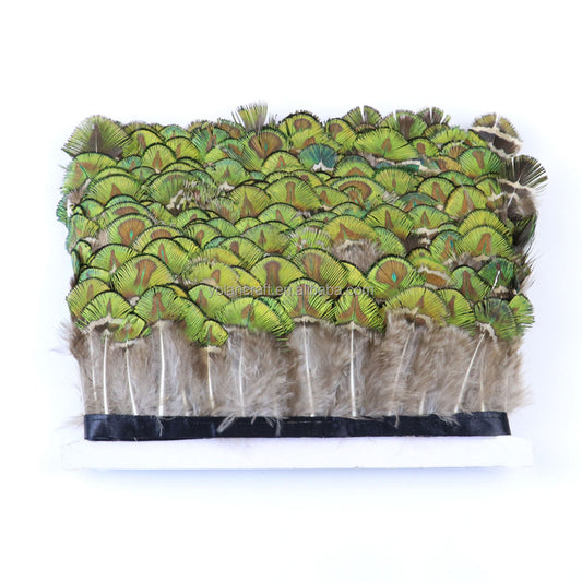 Natural peacock feathers