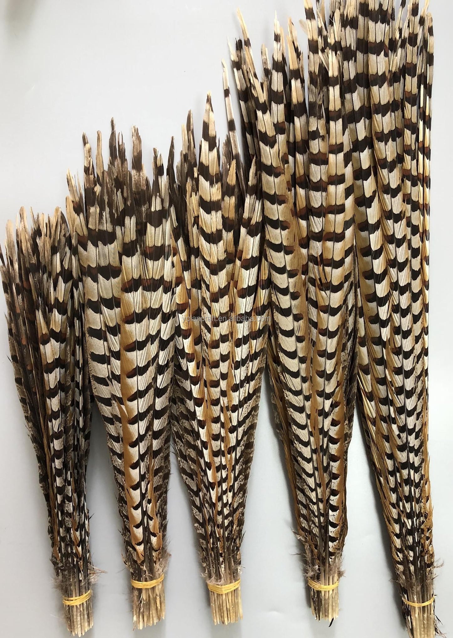 10pcs Natural Cocktail Feathers 4-70 Inches