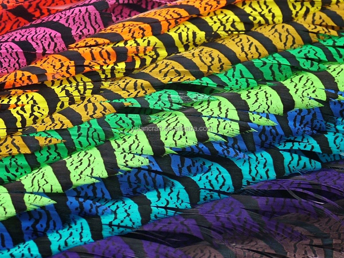 35-40 inch Zebra Pheasant Feather