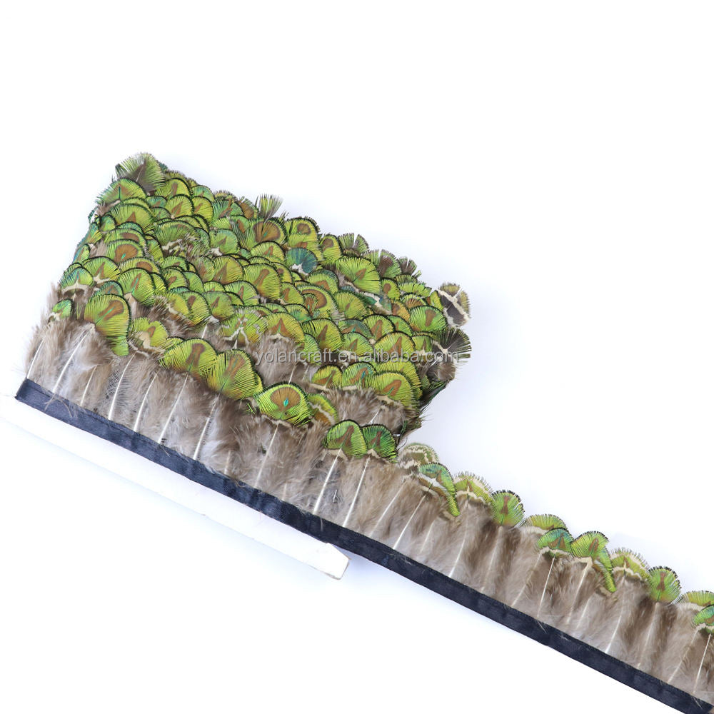 Natural peacock feathers