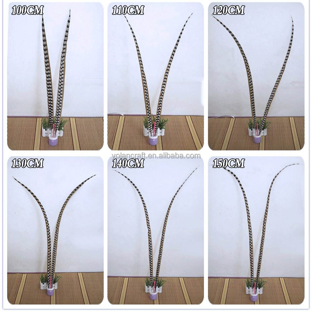 10pcs Natural Cocktail Feathers 4-70 Inches