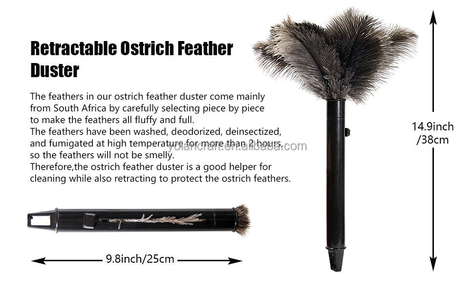 Retractable ostrich feather duster