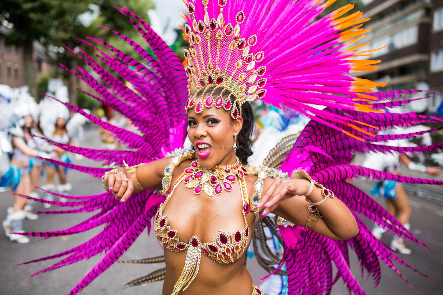 35-40 inch Zebra Pheasant Feather