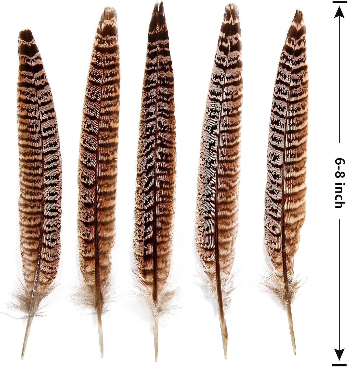 30pcs  Female Ringneck Pheasant Tails Feathers Natural Feathers