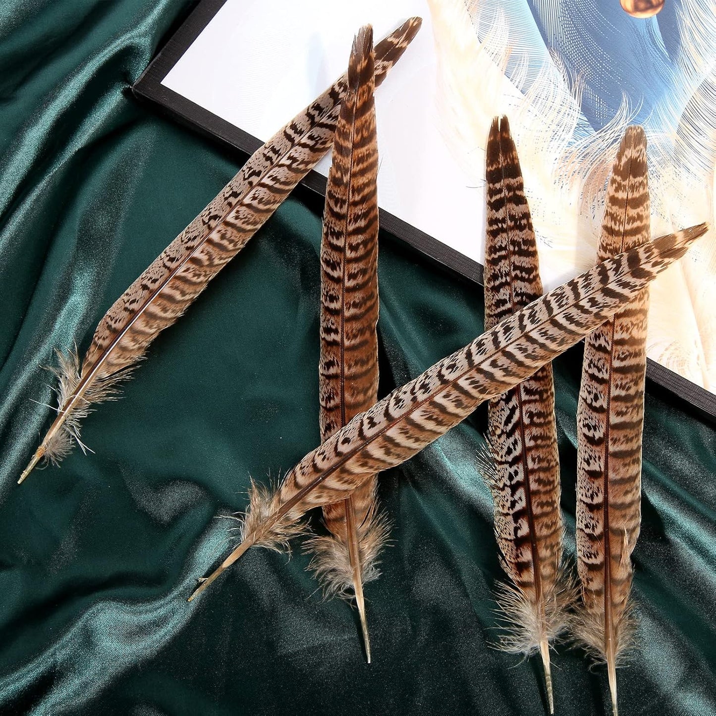 30pcs  Female Ringneck Pheasant Tails Feathers Natural Feathers