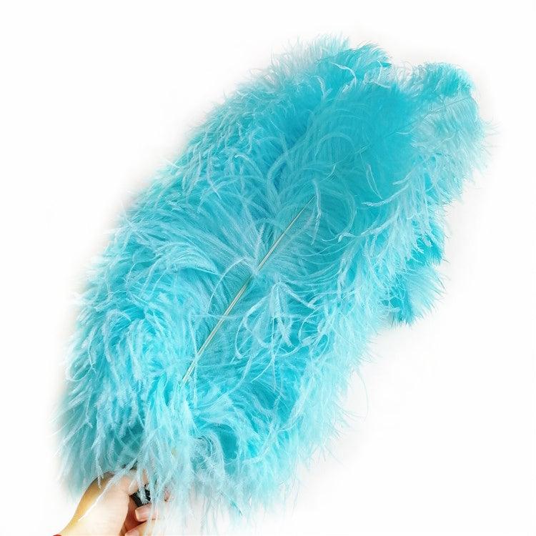 Ostrich Tip Dyed Wing Feathers  Ostrich Plumes for Sale Online