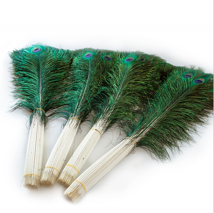 Natural peacock tail feathers