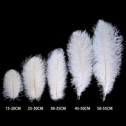 Ostrich Feathers (Bulk)