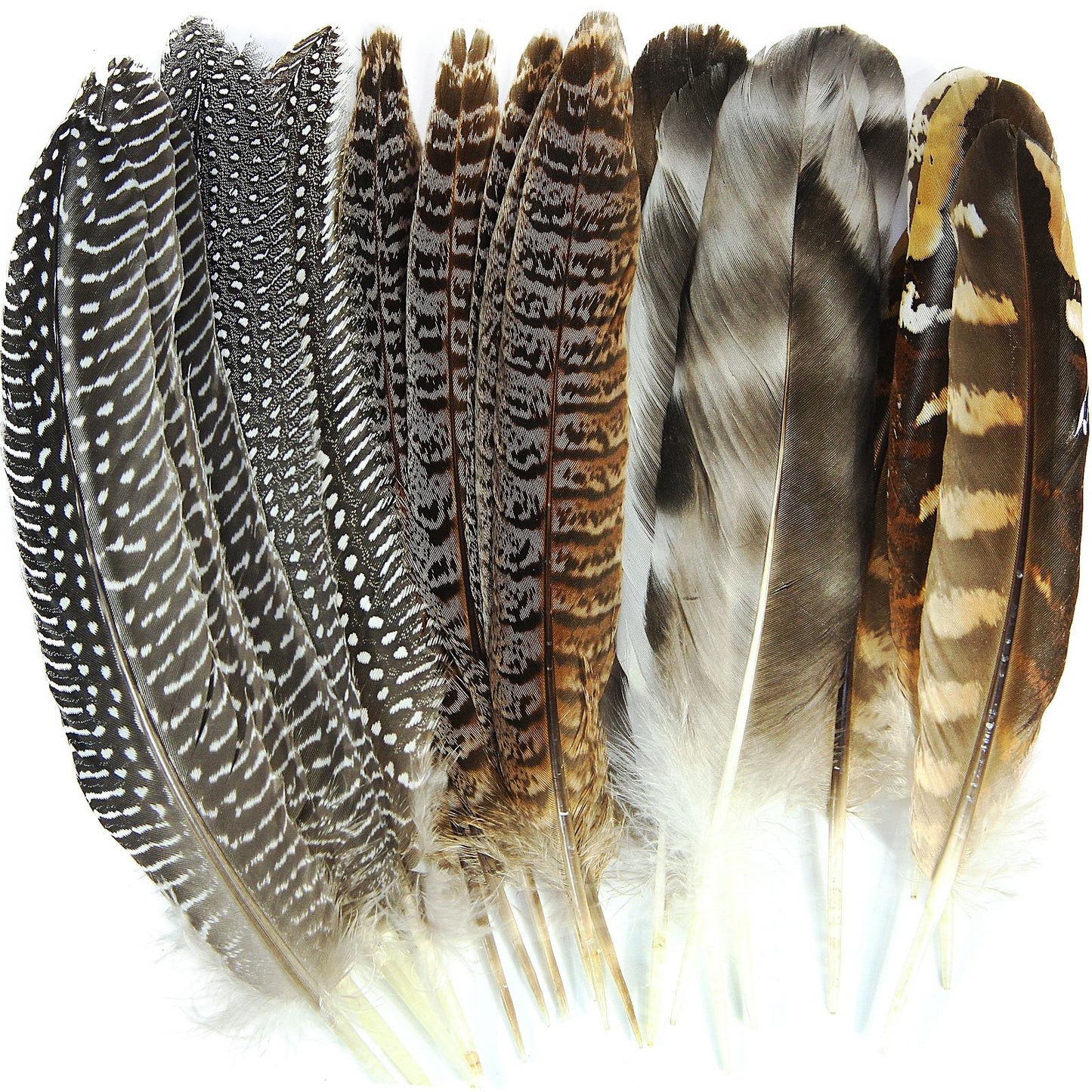 24pcs Mixed pheasant feathers, natural feathers