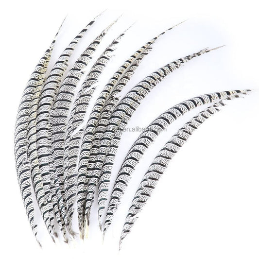 Zebra Pheasant Feathers