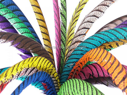 40-45 inch Zebra Pheasant Feathers