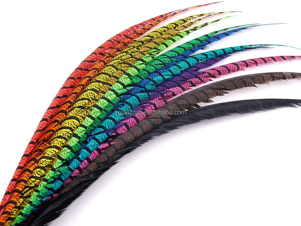 40-45 inch Zebra Pheasant Feathers