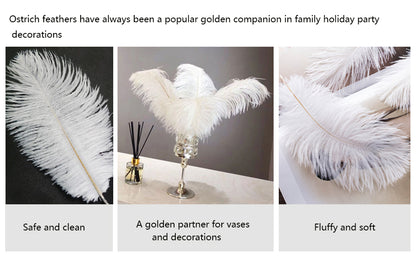 Ostrich Feathers (Bulk)