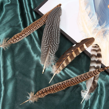 24pcs Mixed pheasant feathers, natural feathers