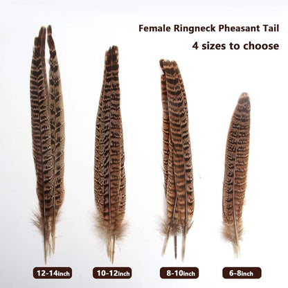 Female pheasant tail feathers