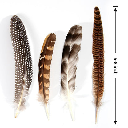 24pcs Mixed pheasant feathers, natural feathers