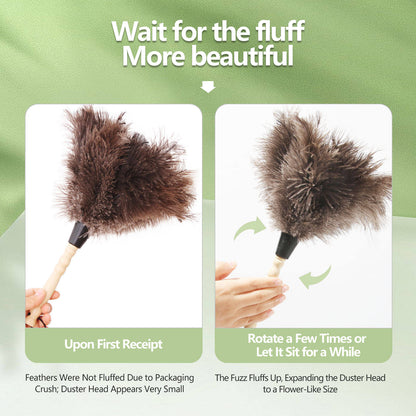 Ostrich Feather Duster 14 Inch