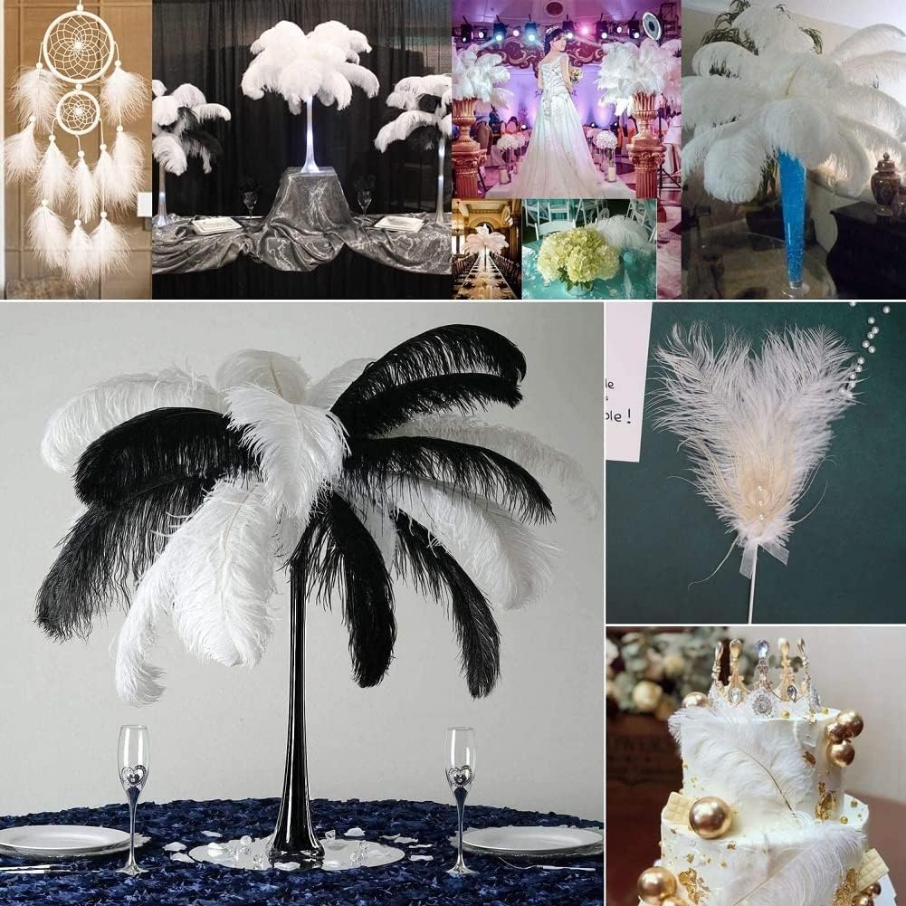 Ostrich Feathers (Bulk)