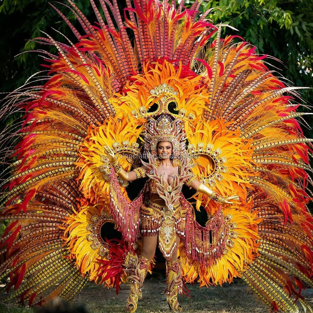 Zebra Pheasant Feathers