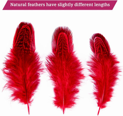 Pheasant Plumage Feathers 120pcs Natural 2-3 Inches