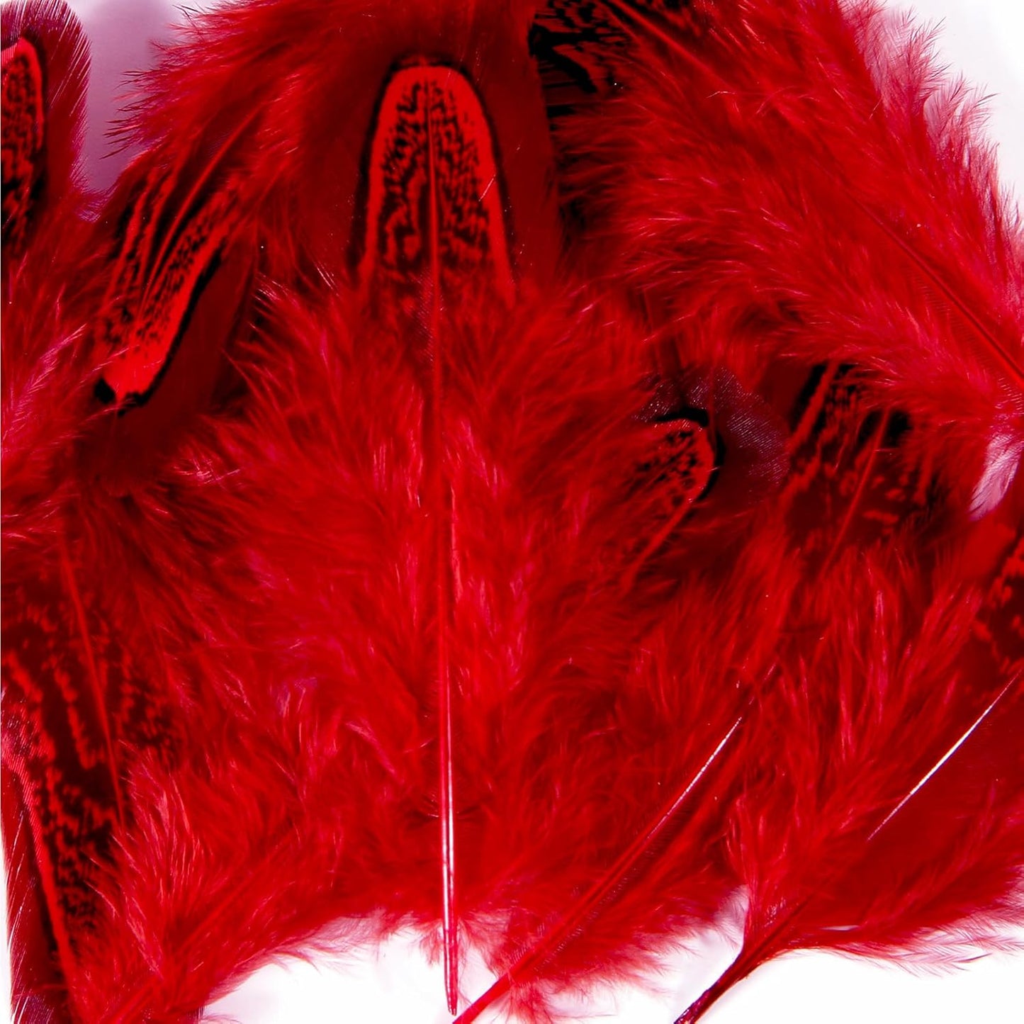 Pheasant Plumage Feathers 120pcs Natural 2-3 Inches