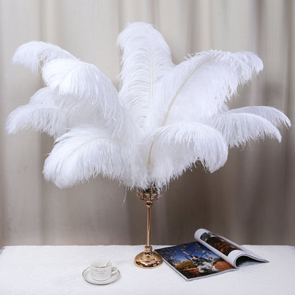 Ostrich Feathers (Bulk)