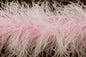 10-layer ostrich feather scarf 8-10CM