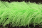 6-layer ostrich feather scarf