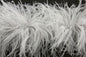 6-layer ostrich feather scarf