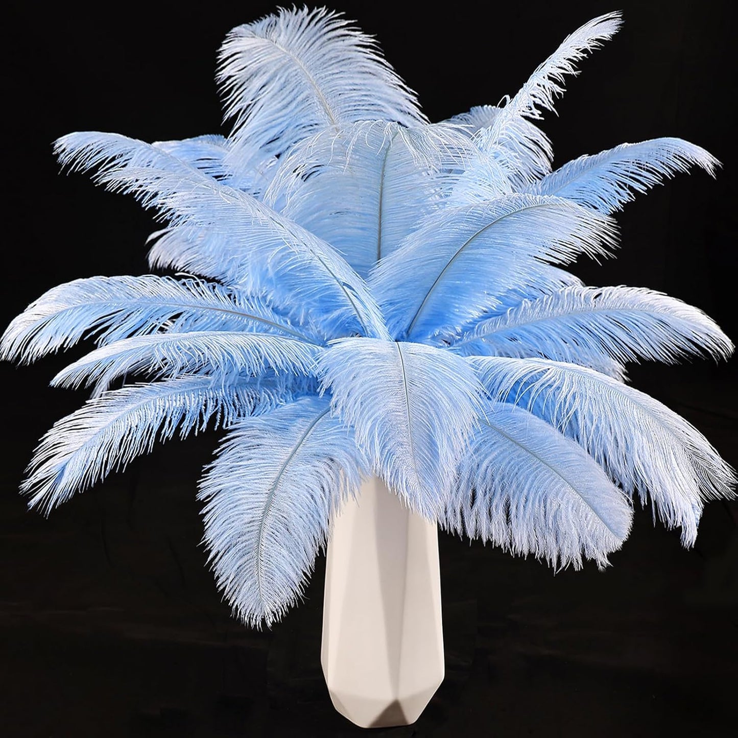 Natural ostrich feathers 24pcs