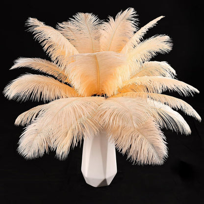 Natural ostrich feathers 24pcs