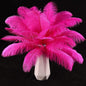 Natural ostrich feathers 24pcs