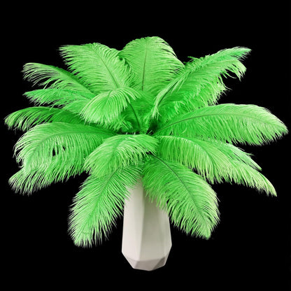 Natural ostrich feathers 24pcs