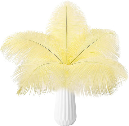 Natural ostrich feathers 24pcs