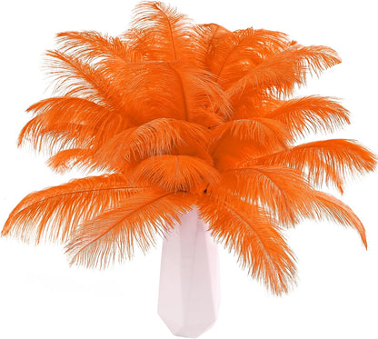 Natural ostrich feathers 24pcs