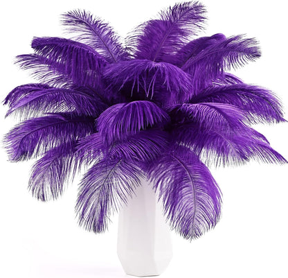 Natural ostrich feathers 24pcs