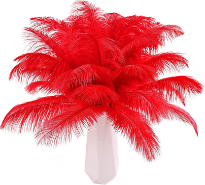 Natural ostrich feathers 24pcs