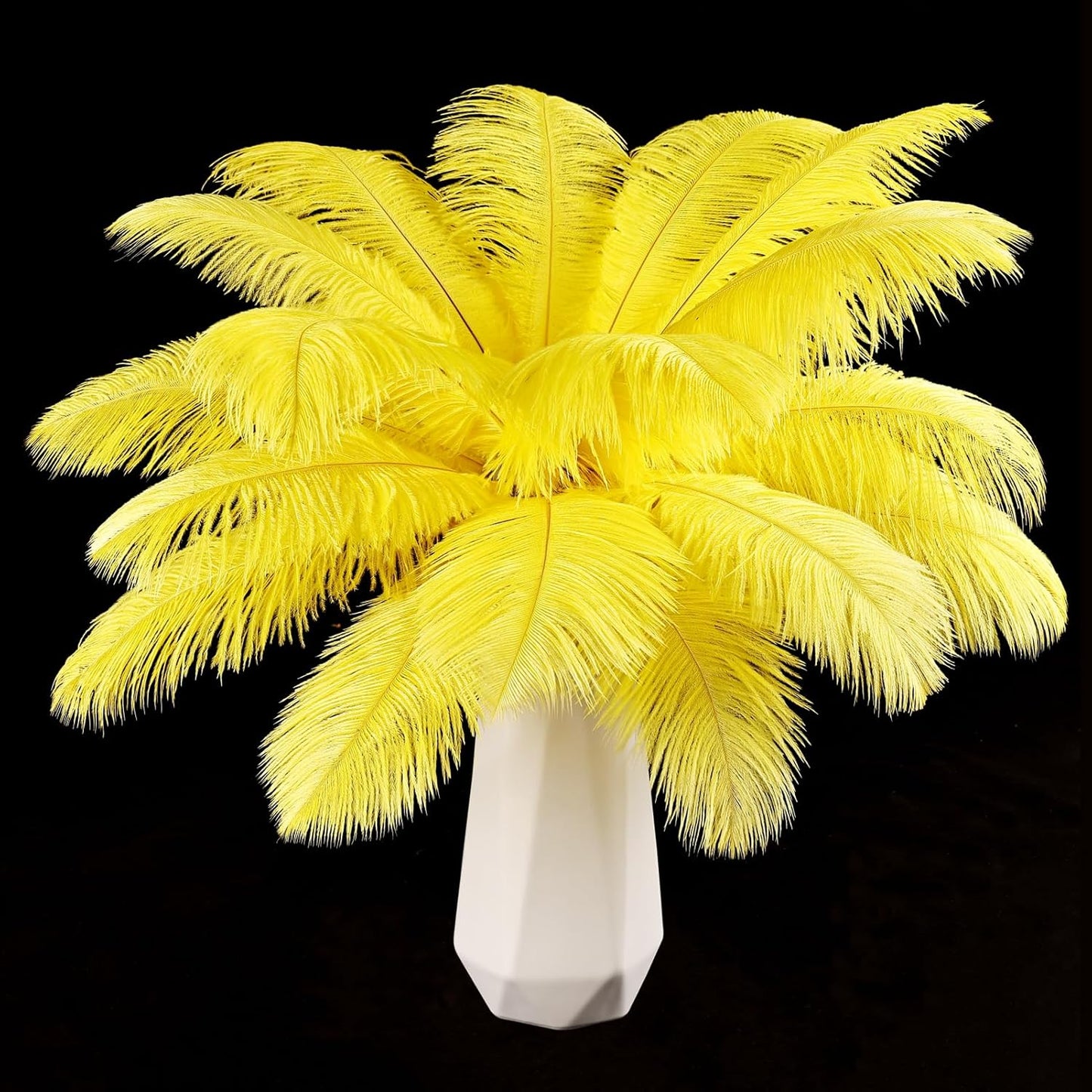 Natural ostrich feathers 24pcs