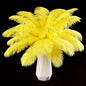 Natural ostrich feathers 24pcs