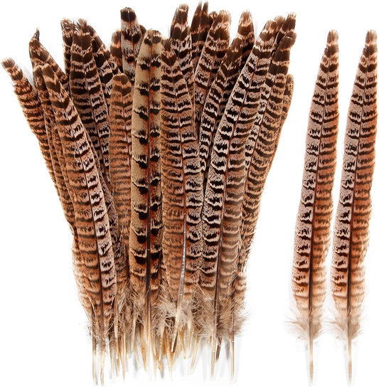 30pcs  Female Ringneck Pheasant Tails Feathers Natural Feathers