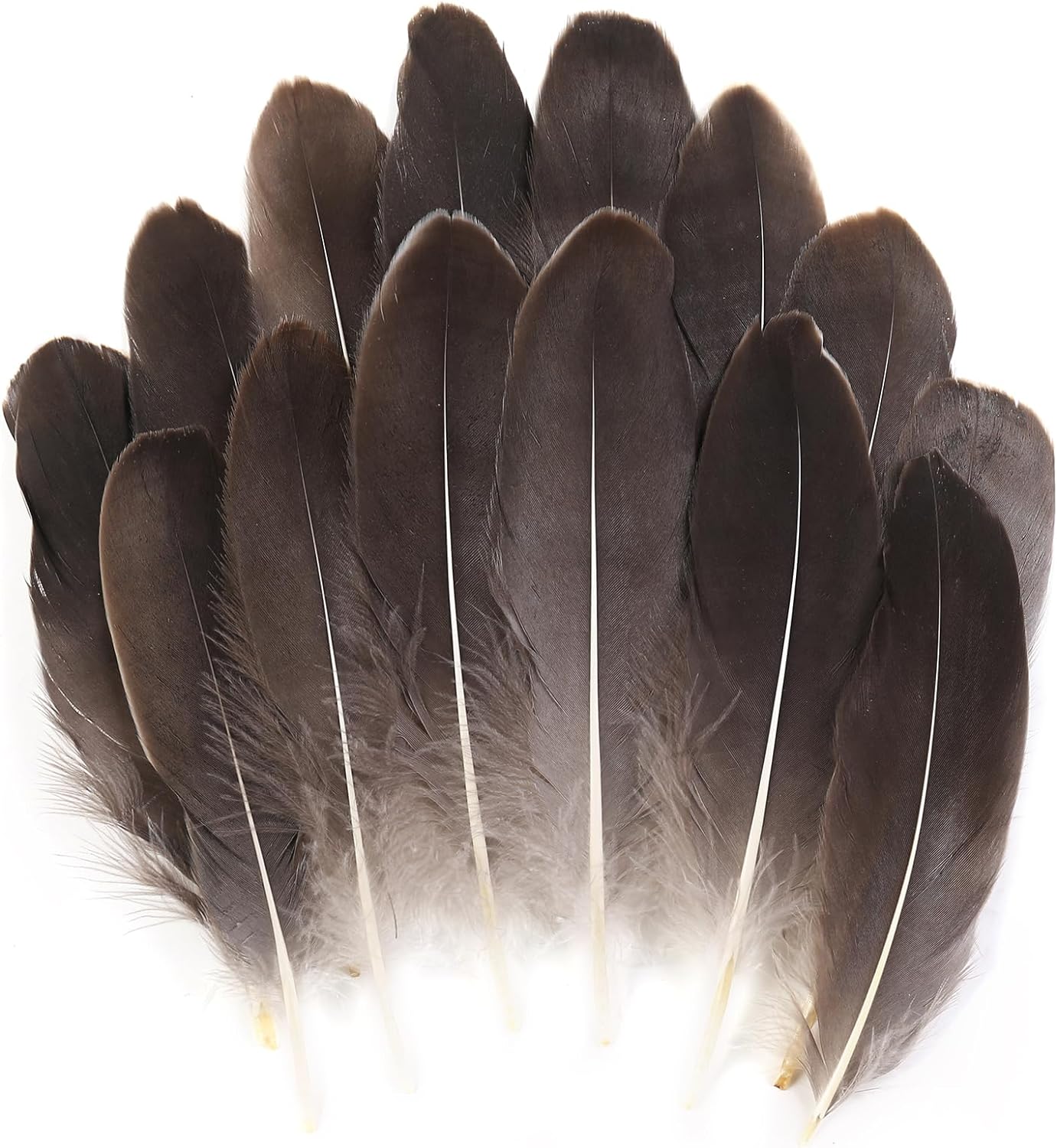 120pcs White Goose Feathers Natural Bulk 6-8 inch 15-20cm