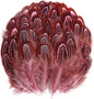 Pheasant Plumage Feathers 120pcs Natural 2-3 Inches