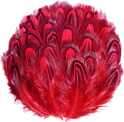 Pheasant Plumage Feathers 120pcs Natural 2-3 Inches