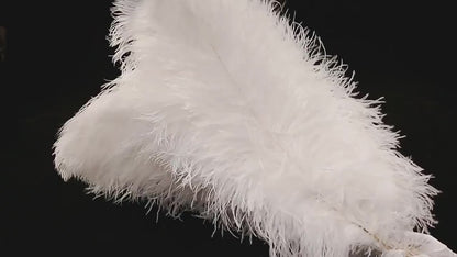 Ostrich Feathers (Bulk)