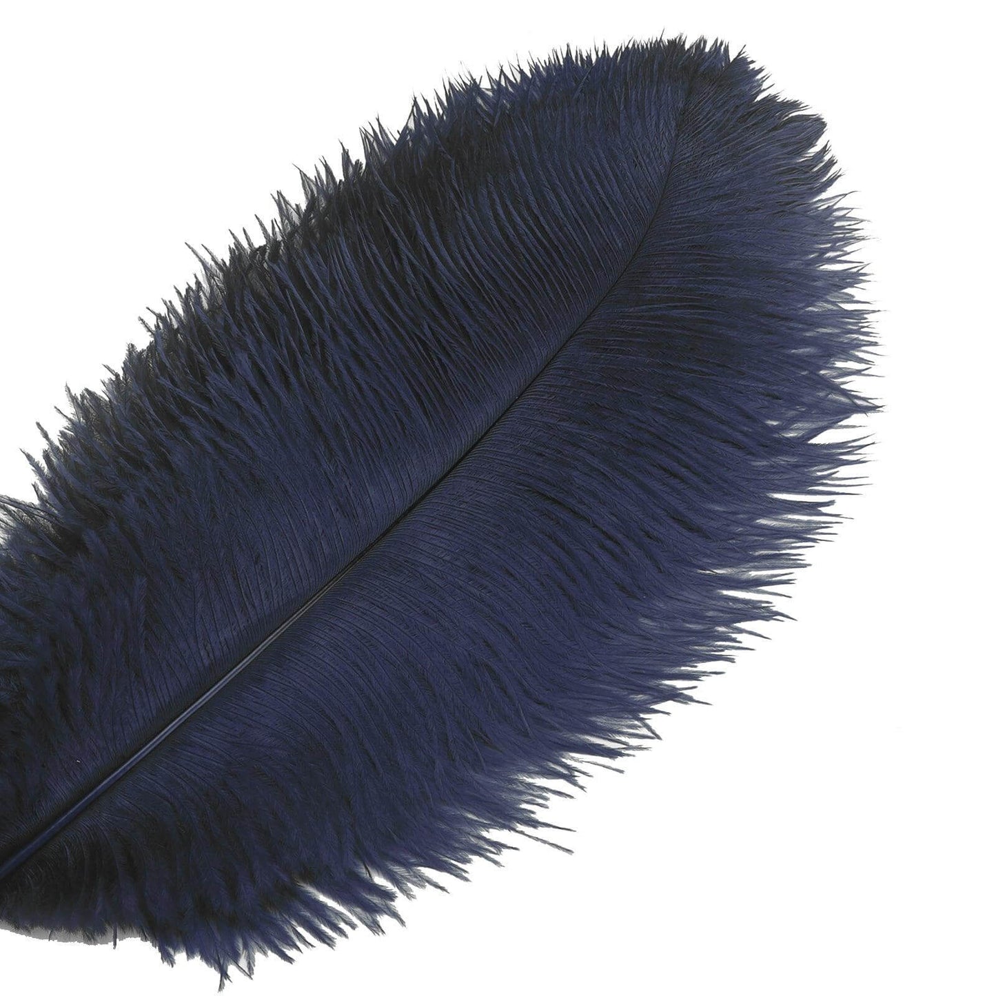 ostrich feathers online | ostrich feathers - sendyfeather.com