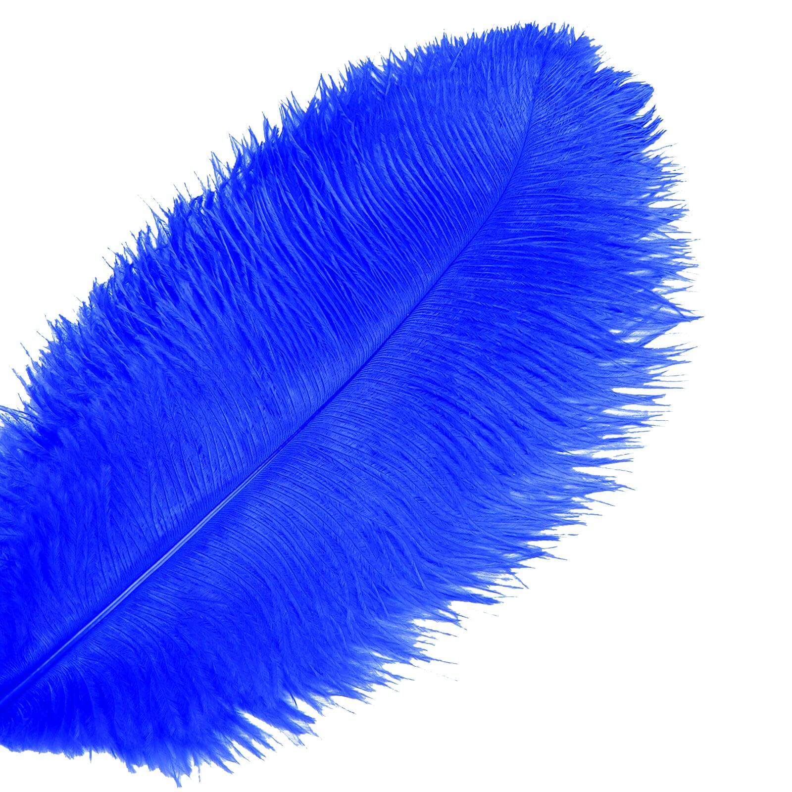 navy blue ostrich feathers | ostrich feathers - sendyfeather.com