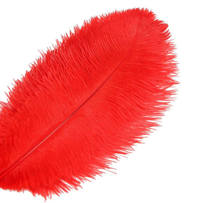 ostrich feather price | ostrich feathers - sendyfeather.com