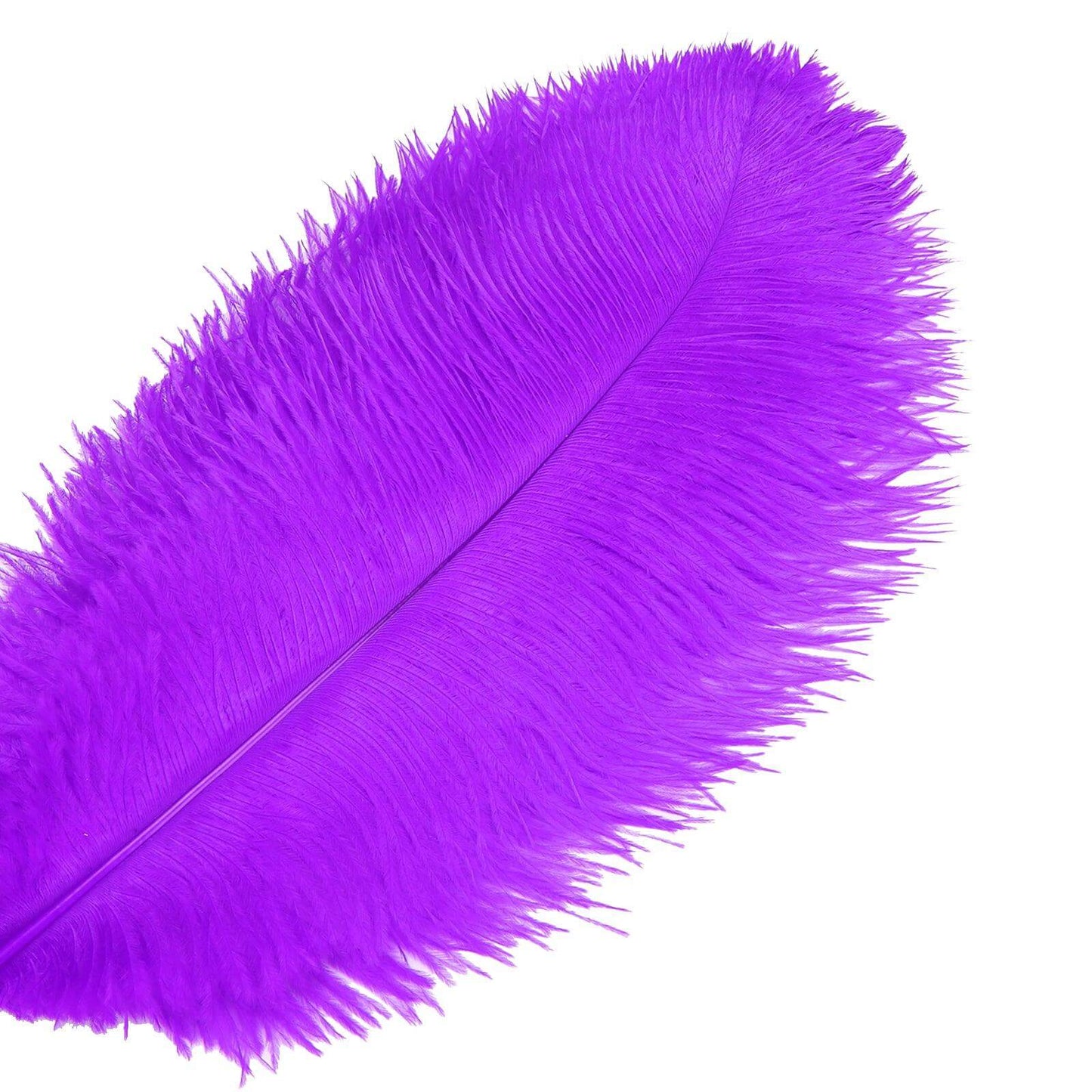 ostrich feathers for sale cheap | ostrich feathers - sendyfeather.com