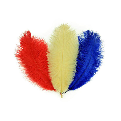 decorative ostrich feathers | ostrich feathers - sendyfeather.com