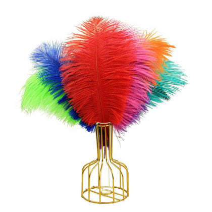long ostrich feathers | ostrich feathers - sendyfeather.com
